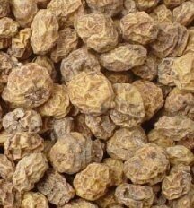 Partikels voor karper