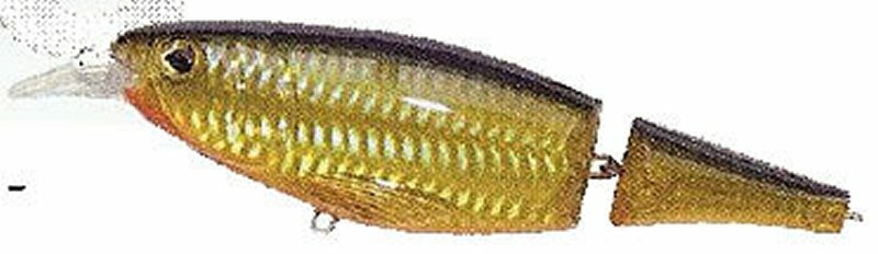 LFT Wrapper Shad F 13 cm YL09