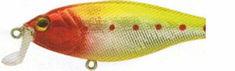 LFT Tactic Shad 8,8cm HC14
