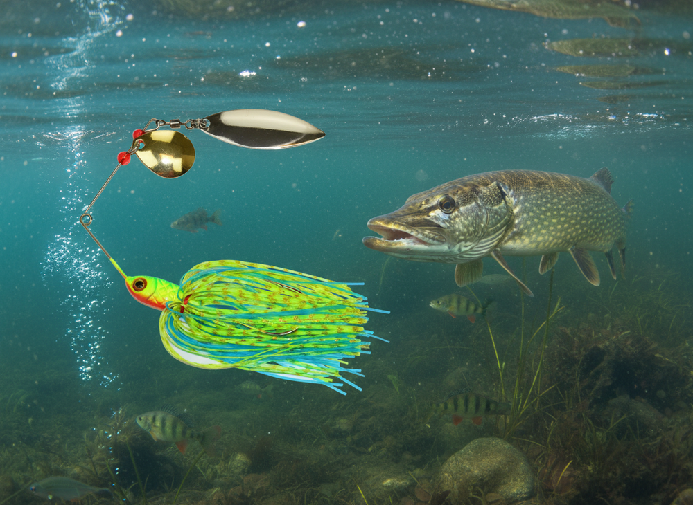 LFT Magic Spinnerbaits 21gr. / Rainbow.