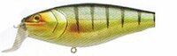 LFT Tactic Shad 8,8cm HB01