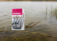 Prebaits Voorn Middel - Vacu&uuml;m verpakt