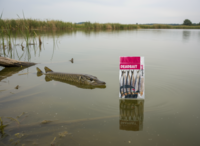 Prebaits Makreel Klein - Vacu&uuml;m verpakt