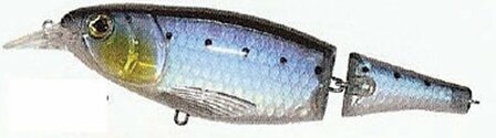 LFT Wrapper Shad F 13 cm QA03