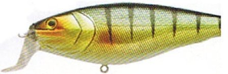 LFT Fatti Shad 14cm HB01