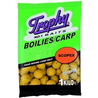 Trophy Boilies 1kg/15mm Scopex