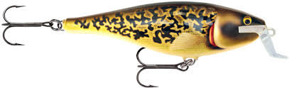 Rapala Super Shad Rap 14cm Artistic Burbot