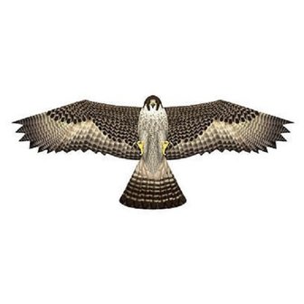 X-Kites Birds of Prey vlieger valk 122cm