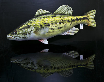 Gaby - Visknuffel Largemounth bass