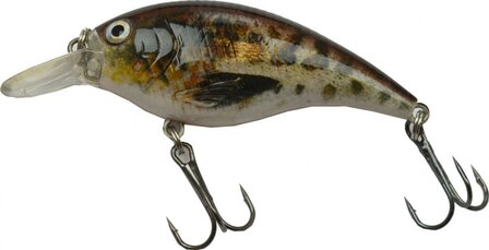 LFT Nature Crankbait 8,4cm. 10,5gr. F. / Blue Purple Shiner