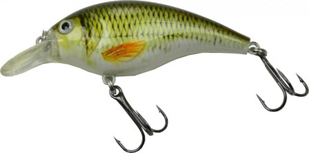 LFT Nature Crankbait 8,4cm. 10,5gr. F. / Roach