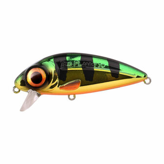 Spro Iris Flanky Perch