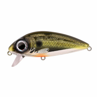 Spro Iris Flanky Shad