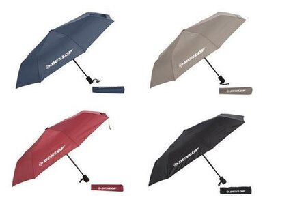Paraplu 21' Auto Open &amp; Close (assorti-4)