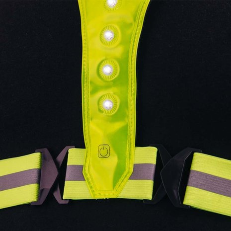 Bee Seen Led Harness USB Green