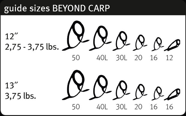 Sportex Beyond Carp 12ft 3,00lb Premium