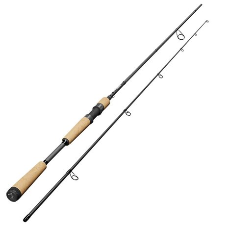 Sportex Captor RS-2 Baitcast 210 20gr.