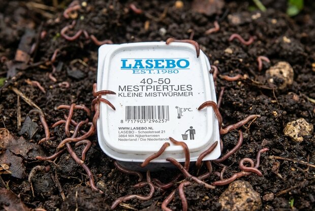 Mest Pieren 40-50 stuks