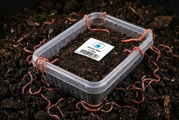 t Pieren 1/4 Liter (bamibak)